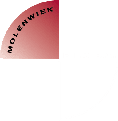 Molenwiek Film